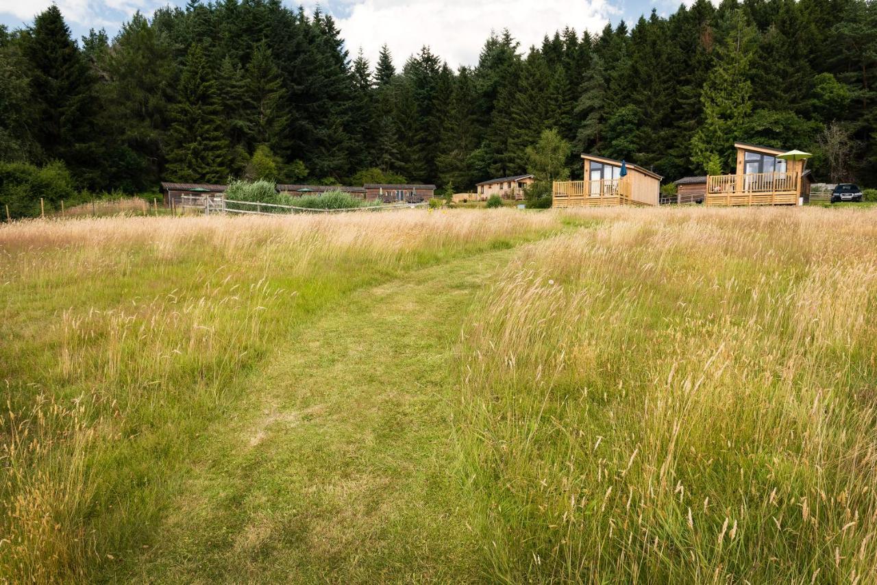 Tayview Lodges Pitlochry Extérieur photo